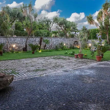 Dream Garden