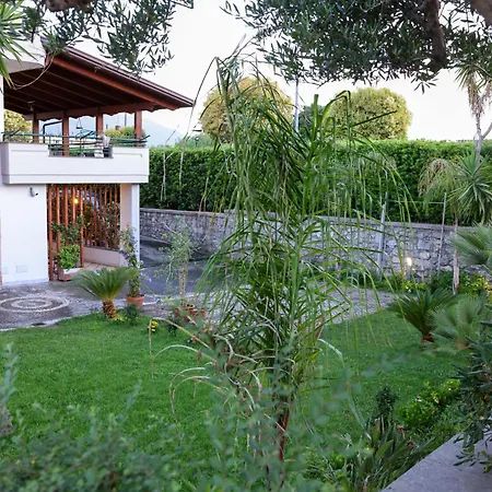 Dream Garden